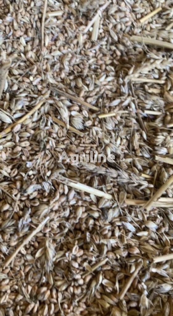 Moissonneuse-batteuse NEW HOLLAND tx36 - Photo 9